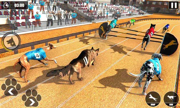 Tìm Hiểu Luật Chơi Game Nhanh Đua Chó Tại W88